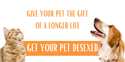 what age should you desex a male dog