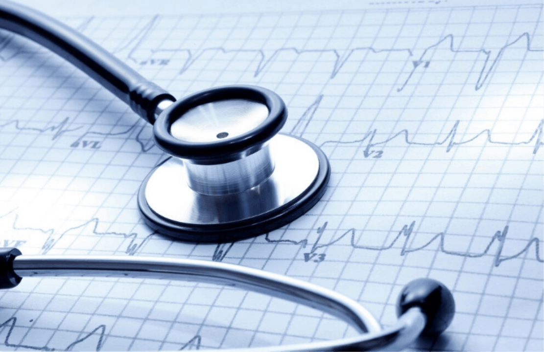 Vet Cardiologist in Sydney Southern Cross Vet