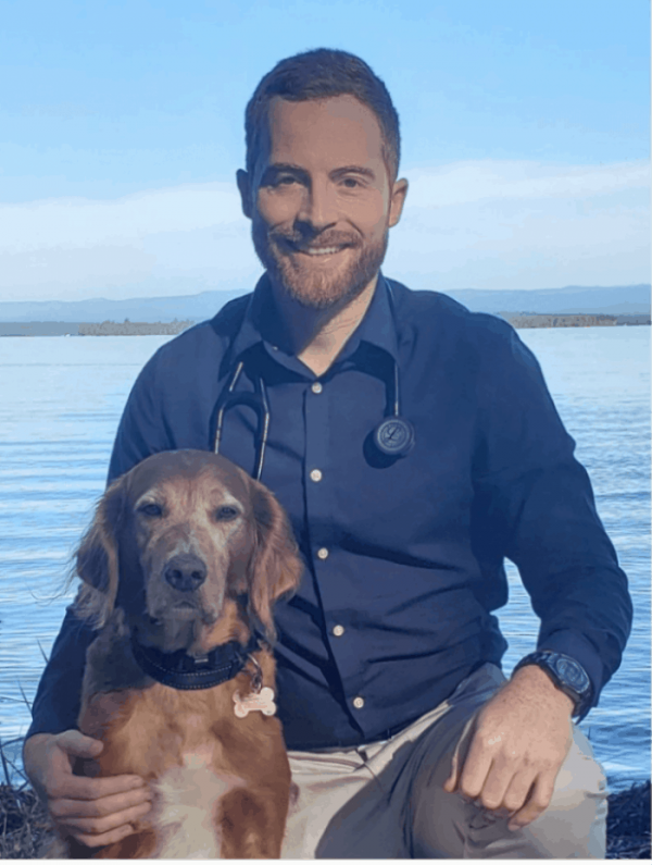 Vet Cardiologist in Sydney Southern Cross Vet