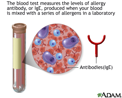 how much does an allergy test for dogs cost