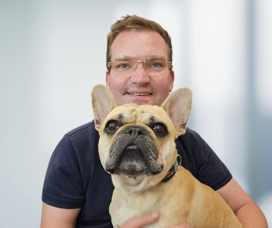 Bella french bulldog BOAS Surgery 