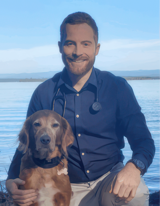 Veterinary-Cardiologist-Sydney-Veterinary-Cardiac